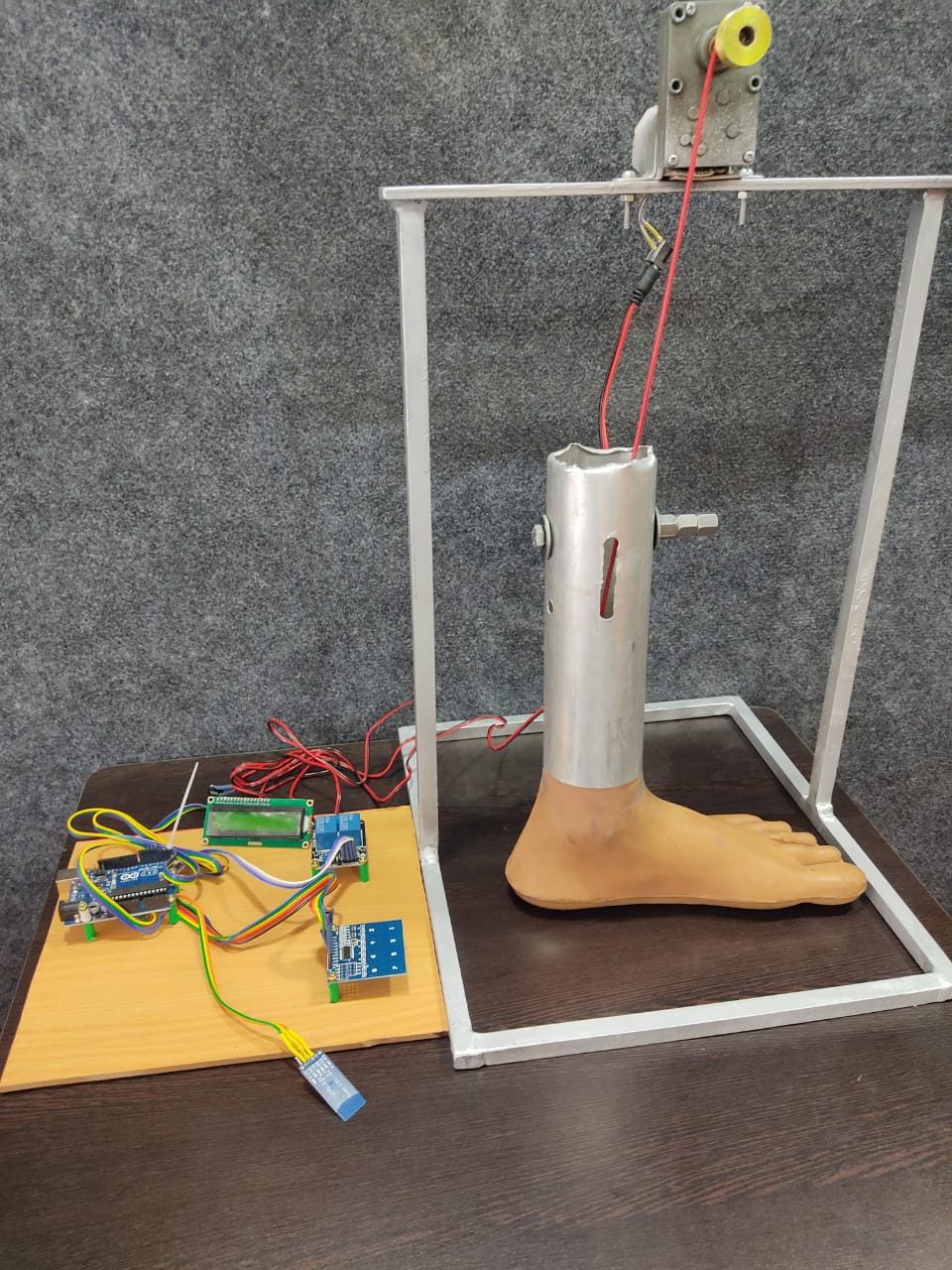 Myoelectric Artificial Leg Prototype